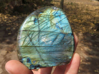 Polished Labradorite Standing Free Forms With Intense Blue & Gold Flash x 6 From Tulear, Madagascar - TopRock