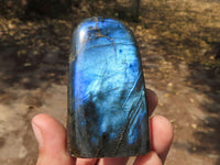 Polished Labradorite Standing Free Forms With Intense Blue & Gold Flash x 6 From Tulear, Madagascar - TopRock