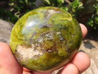 Polished Large Green Opal Palm Stones  x 6 From Madagascar - Toprock Gemstones and Minerals 