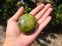 Polished Large Green Opal Palm Stones  x 6 From Madagascar - Toprock Gemstones and Minerals 