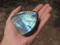 Polished Labradorite Standing Free Forms With Intense Blue & Gold Flash x 6 From Tulear, Madagascar - TopRock