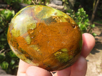 Polished Large Green Opal Palm Stones  x 6 From Madagascar - Toprock Gemstones and Minerals 