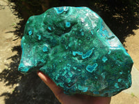 Polished Malacholla (Malachite & Chrysocolla) Display Piece  x 1 From Congo - TopRock