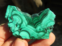 Polished Flower Banded Malachite Slices  x 24 From Congo - Toprock Gemstones and Minerals 