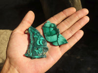 Polished Flower Banded Malachite Slices  x 24 From Congo - Toprock Gemstones and Minerals 