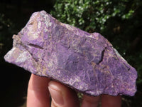 Natural Rough Purpurite Cobbed Specimens  x 6 From Namibia - TopRock