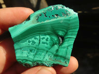 Polished Flower Banded Malachite Slices  x 24 From Congo - Toprock Gemstones and Minerals 