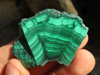 Polished Flower Banded Malachite Slices  x 24 From Congo - Toprock Gemstones and Minerals 