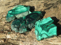 Polished Flower Banded Malachite Slices  x 24 From Congo - Toprock Gemstones and Minerals 