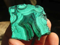 Polished Flower Banded Malachite Slices  x 24 From Congo - Toprock Gemstones and Minerals 