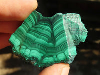 Polished Flower Banded Malachite Slices  x 24 From Congo - Toprock Gemstones and Minerals 