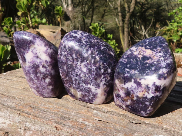 Polished Purple Lepidolite Standing Free Forms  x 3 From Zimbabwe - Toprock Gemstones and Minerals 