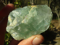 Natural Cobbed Green Fluorite Specimens  x 35 From Uis, Namibia