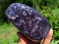 Polished Deep Purple Lepidolite Free Forms x 2 From Zimbabwe - TopRock