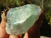 Natural Cobbed Green Fluorite Specimens  x 35 From Uis, Namibia