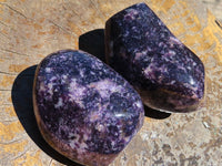 Polished Deep Purple Lepidolite Free Forms x 2 From Zimbabwe - TopRock