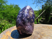 Polished Deep Purple Lepidolite Free Forms x 2 From Zimbabwe - TopRock