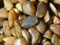 Polished Mini Craft Labradorite Tumble Stones - Sold per 500 g - From Tulear, Madagascar