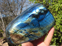 Polished Labradorite Standing Free Forms With Intense Full Face Flash  x 3 From Tulear, Madagascar