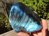 Polished Labradorite Standing Free Forms With Intense Full Face Flash  x 3 From Tulear, Madagascar