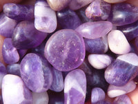 Polished Mini Craft Amethyst Tumble Stones - Sold per 500 g - From Zambia