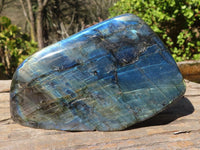 Polished Labradorite Standing Free Forms With Intense Full Face Flash  x 3 From Tulear, Madagascar