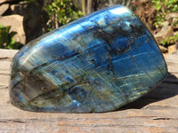 Polished Labradorite Standing Free Forms With Intense Full Face Flash  x 3 From Tulear, Madagascar