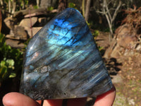 Polished Labradorite Standing Free Forms With Intense Full Face Flash  x 3 From Tulear, Madagascar