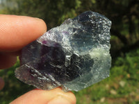 Natural Cobbed & Stone Sealed Watermelon Fluorite Pieces x 35 From Uis, Namibia - TopRock