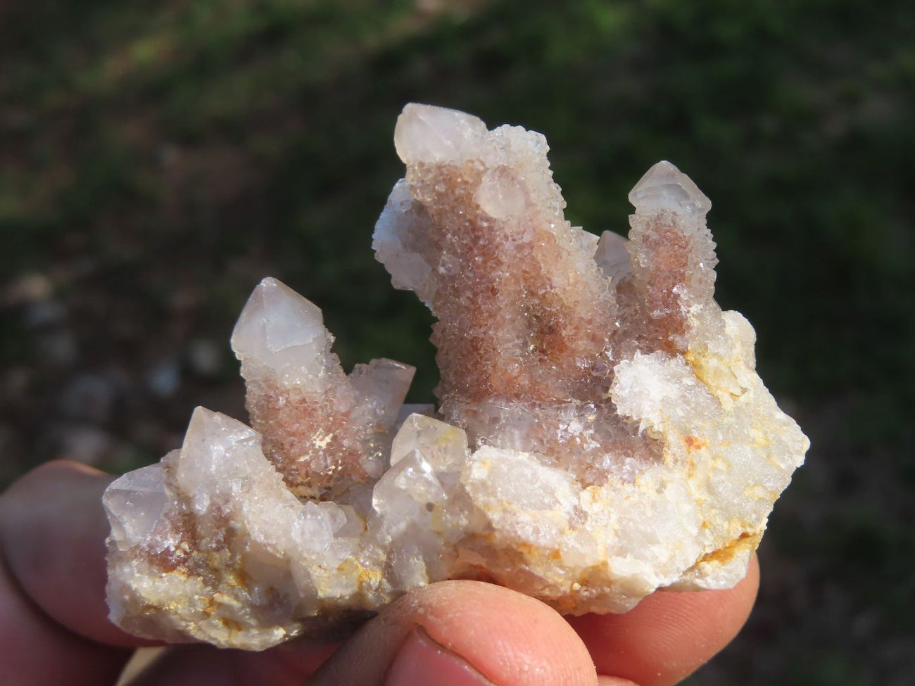 3 LB Spirit Cactus Quartz with Limonite from South buy Africa