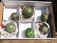 Polished Green Chrysoprase Spheres  x 6 From Madagascar - Toprock Gemstones and Minerals 