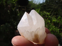 Natural Pineapple Candle Quartz Crystals  x 35 From Antsirabe, Madagascar - Toprock Gemstones and Minerals 