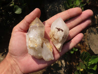 Natural Highly Selected Pineapple Candle Quartz Crystals  x 13 From Antsirabe, Madagascar - Toprock Gemstones and Minerals 