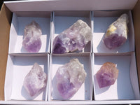 Natural Jacaranda Amethyst Clusters  x 6 From Mumbwa, Zambia - Toprock Gemstones and Minerals 