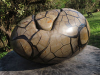 Polished Large Septerye Sauvage "Dragons Egg" With Cap x 1 From Mahajanga, Madagascar - TopRock