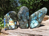 Polished Flashy Labradorite Standing Free Forms  x 3 From Tulear, Madagascar - TopRock