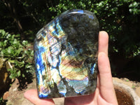 Polished Flashy Labradorite Standing Free Forms  x 3 From Tulear, Madagascar - TopRock