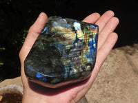 Polished Flashy Labradorite Standing Free Forms  x 3 From Tulear, Madagascar - TopRock