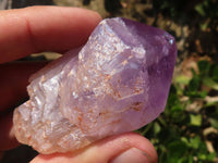 Natural Jacaranda Amethyst Clusters  x 6 From Mumbwa, Zambia - Toprock Gemstones and Minerals 