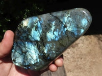 Polished Flashy Labradorite Standing Free Forms  x 3 From Tulear, Madagascar - TopRock