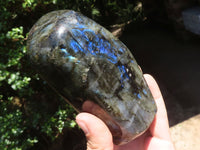 Polished Flashy Labradorite Standing Free Forms  x 3 From Tulear, Madagascar - TopRock