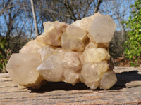 Natural Cascading Smokey Quartz Clusters x 2 From Luena, Congo