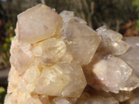 Natural Cascading Smokey Quartz Clusters x 2 From Luena, Congo