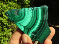 Polished Mixed Selection Of Malacholla & Malachite Free Forms  x 12 From Congo - Toprock Gemstones and Minerals 