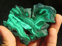 Polished Mixed Selection Of Malacholla & Malachite Free Forms  x 12 From Congo - Toprock Gemstones and Minerals 