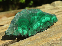 Polished Mixed Selection Of Malacholla & Malachite Free Forms  x 12 From Congo - Toprock Gemstones and Minerals 