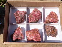 Natural Rough Red Rhodonite Specimens x 6 From Zimbabwe