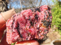 Natural Rough Red Rhodonite Specimens x 6 From Zimbabwe