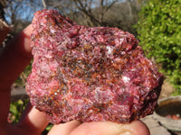 Natural Rough Red Rhodonite Specimens x 6 From Zimbabwe