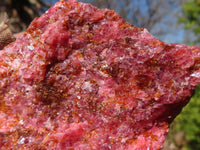 Natural Rough Red Rhodonite Specimens x 6 From Zimbabwe